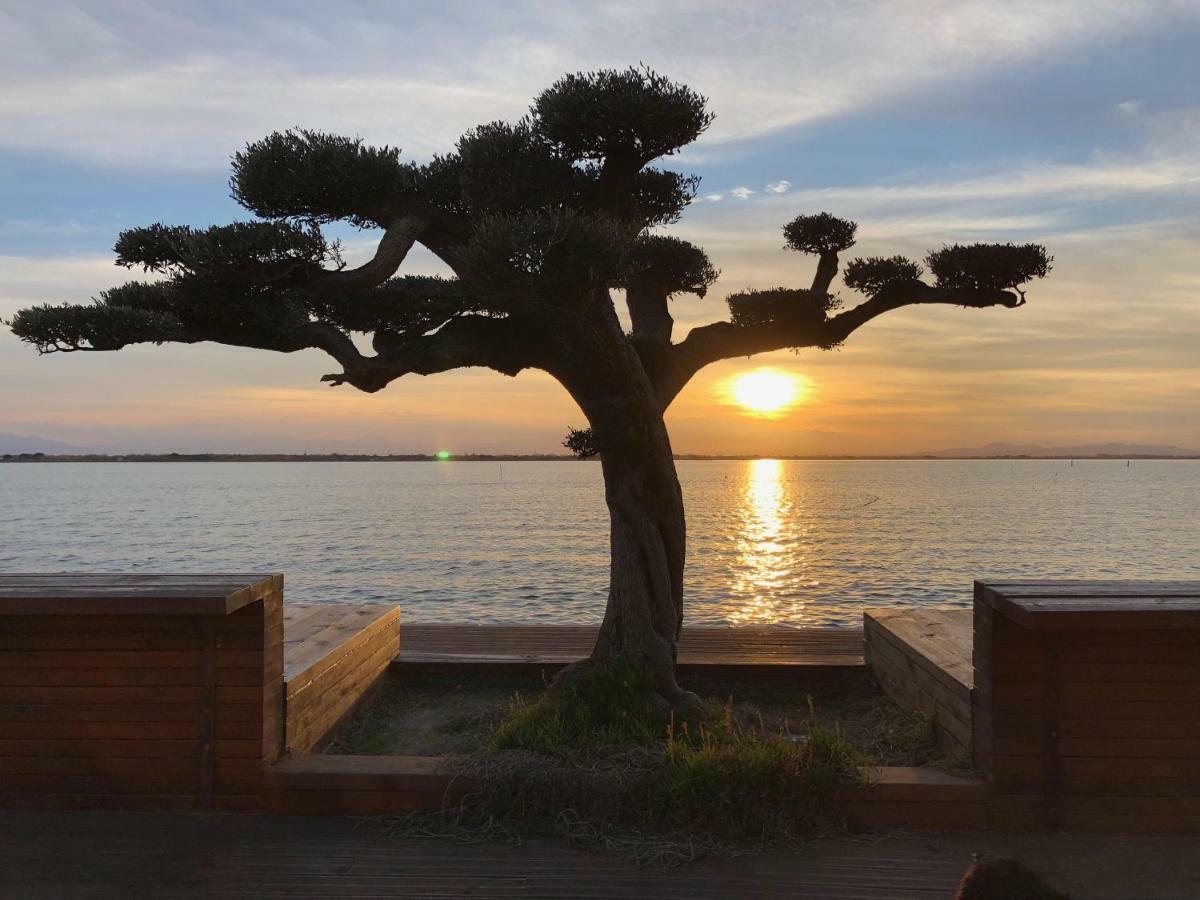 Barcaresa-Ravissant Appartement Piscine Vue Mer Wifi Parking Gratuit Le Barcarès Εξωτερικό φωτογραφία